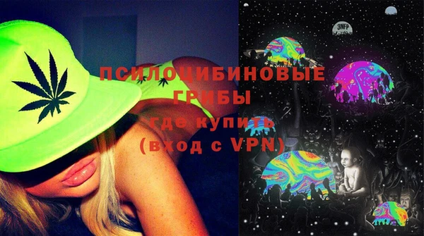 спиды Магас