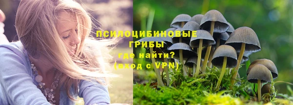 спиды Магас