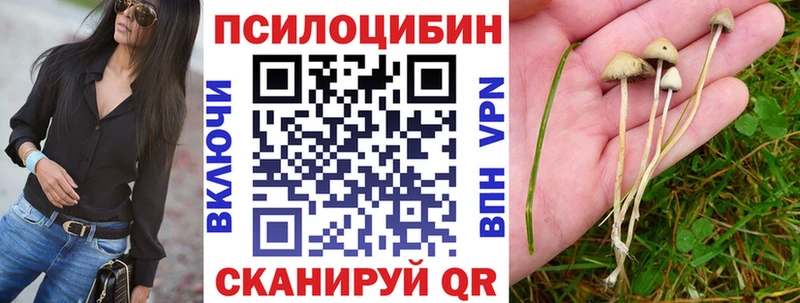 это состав  MEGA онион  Чегем  Галлюциногенные грибы Psilocybine cubensis 